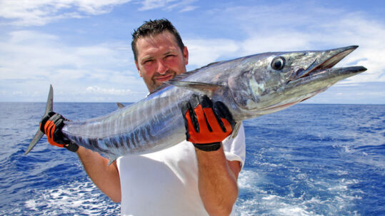 Rent a Boat to Enjoy Florida Fishing